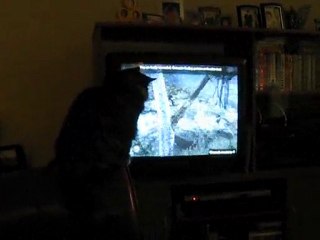 Paris watching Fable 2