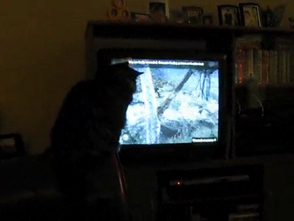 Paris watching Fable 2