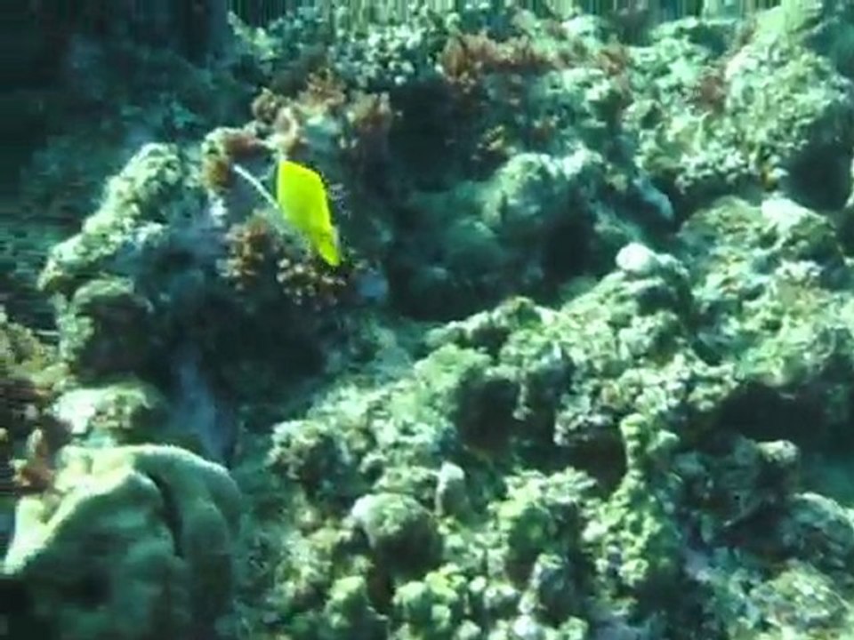 vid02