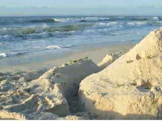 Ashmax: Dual Downline Marketing Tool 💼