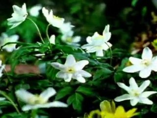 BBC Space Belgeseli 05 (Yeni Dünyalar) BL 02