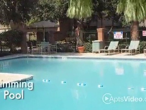 Clear Lake Falls Apartments in Webster, TX - ForRent.com