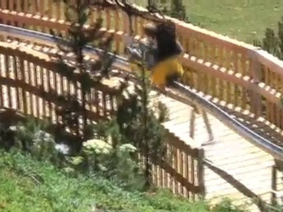 [Vimeo-14302328] Luge d_été Montgenèvre
