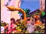1995 Carnaval Cuges Les Pins Part1 (Mémoire du village VHS1)
