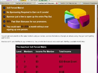 Aaachoo an Income Opportunity 3x9 Matrix No Sponsoring