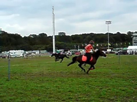 Vins/Dipsy bouteilles