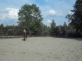 Chat, cheval, cousine 163