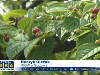 Czy to już koniec lata?