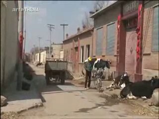 Vers Un Crash Alimentaire 5/5