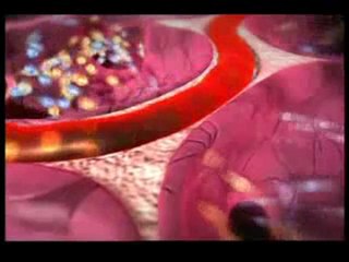 Bedenimizde her an her saniye yaşanan mucizeler