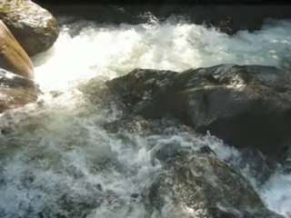 dereler özgür akacak!!!