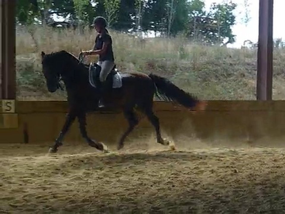 Quiator le 16 Août