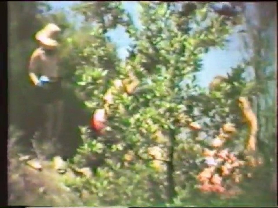 Eté 1973