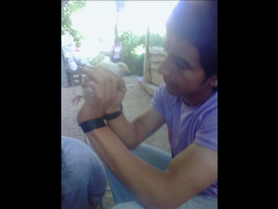 Şahteset ~ Gözümün Yaşı