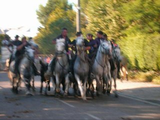 CONCOURS 21 AOUT ST CHAPTES 2010