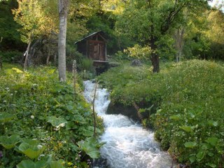 karmate (karaduman) artvin (berta)