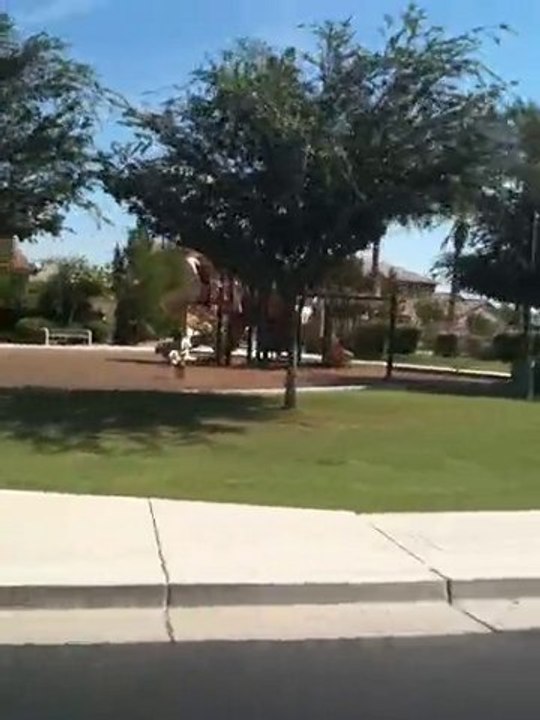 Chandler AZ Home for Sale- La Paloma Neighborhood