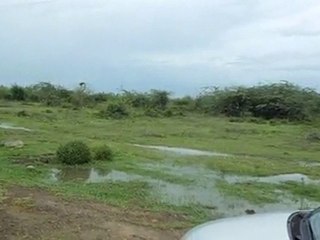 360 degree view of plot