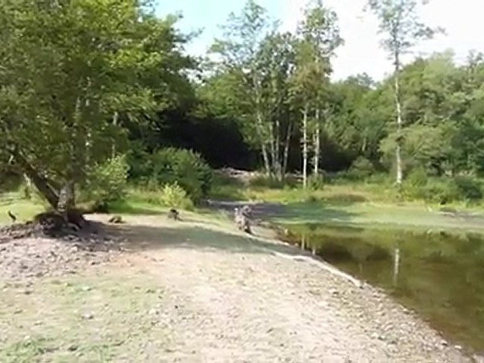 VTT étang Bonnac Beaune P1020342