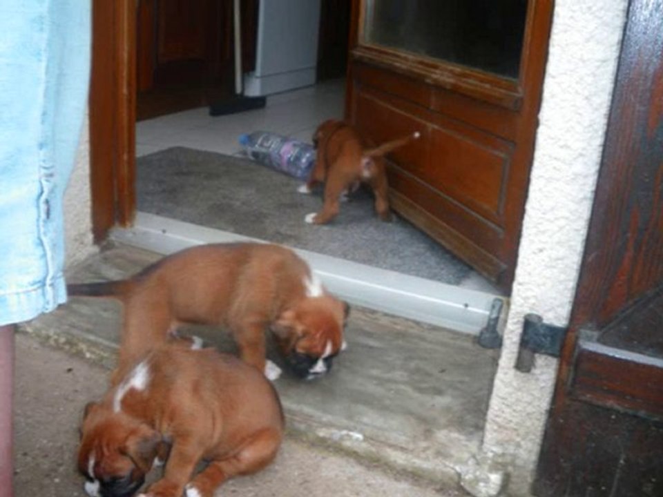Les bébés de cybelle du jardin des nymphes