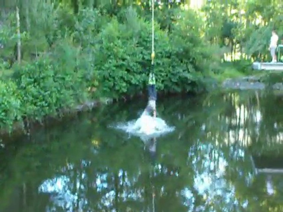 bungy