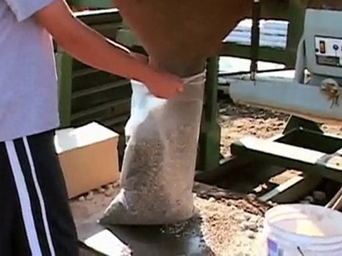 Grass Seeds | Best Grass Seeds | How To Seed Grasses