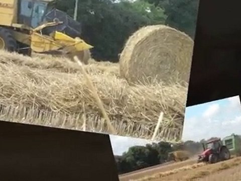 moisson 2010 la 2ème partie.