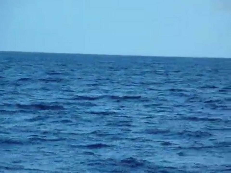 Pêche au thon aux Baléares - Prise