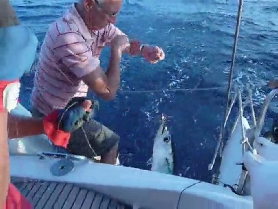 Pêche au thon aux Baléares - Remontée