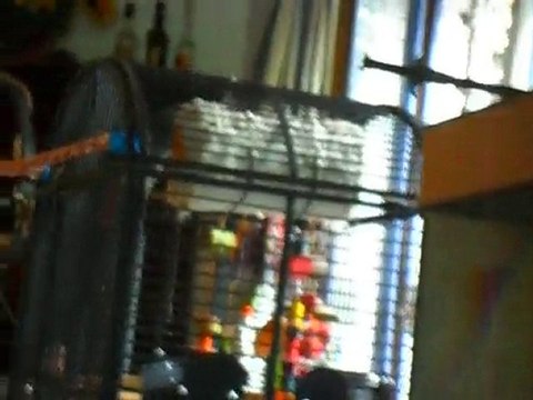 bonjour mon ptit chou/ hoooooo/ mon ptit gamin t'es ou