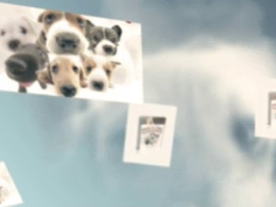 Dog Training Courses