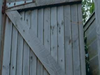 Extrait de Shaun of the dead