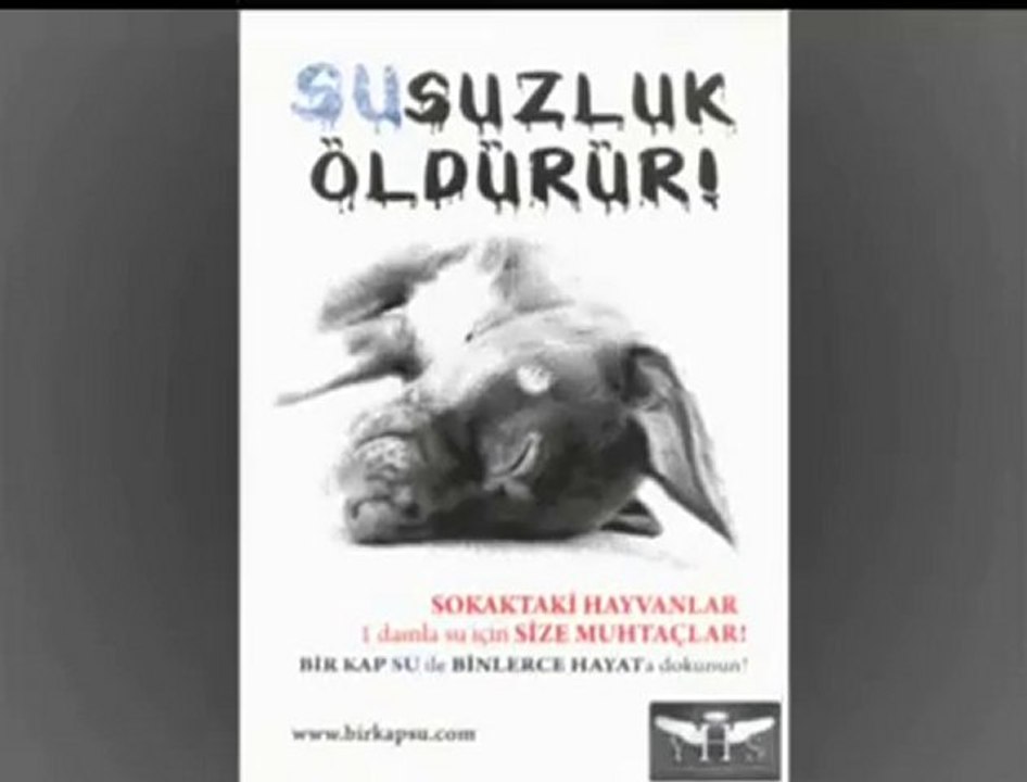 1 KAP SU