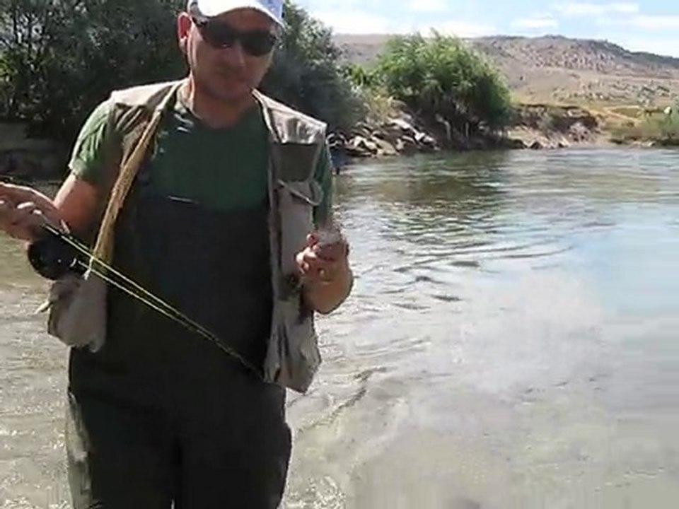 prince nymph fly