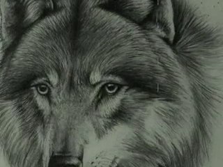 ''DJ Onur Tamer-The Guard of  the Moon''