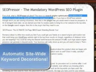 WordPress Tutorials by WordPressVideos.TV - How SEOPressor G