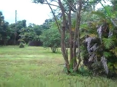 1842 Linhart Ave Fort Myers FL 33901