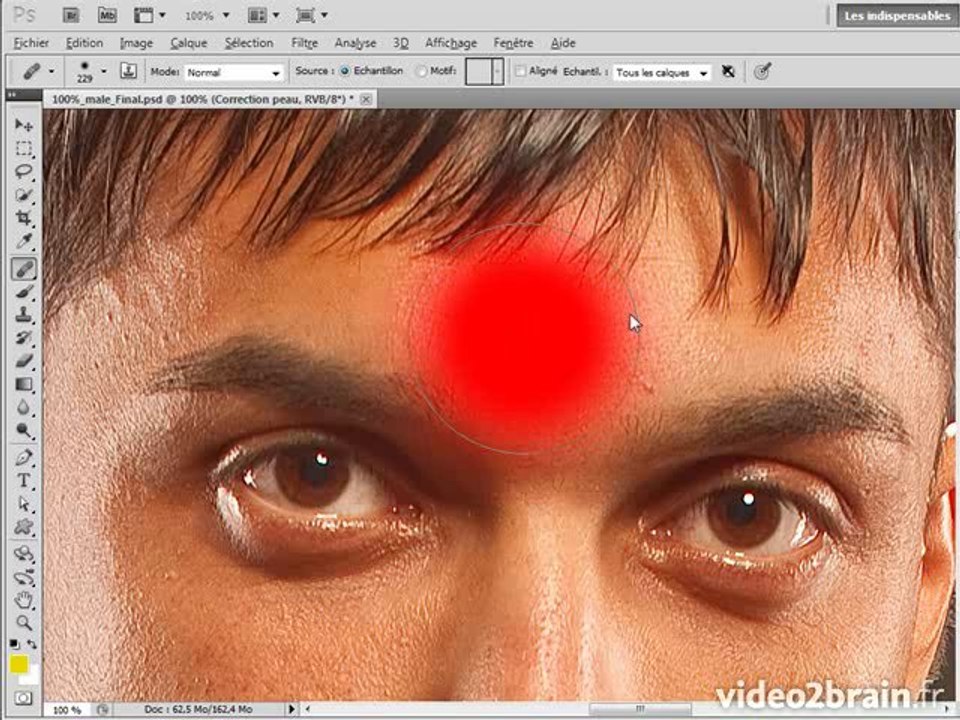 Photoshop CS5 : Corrections de la peau
