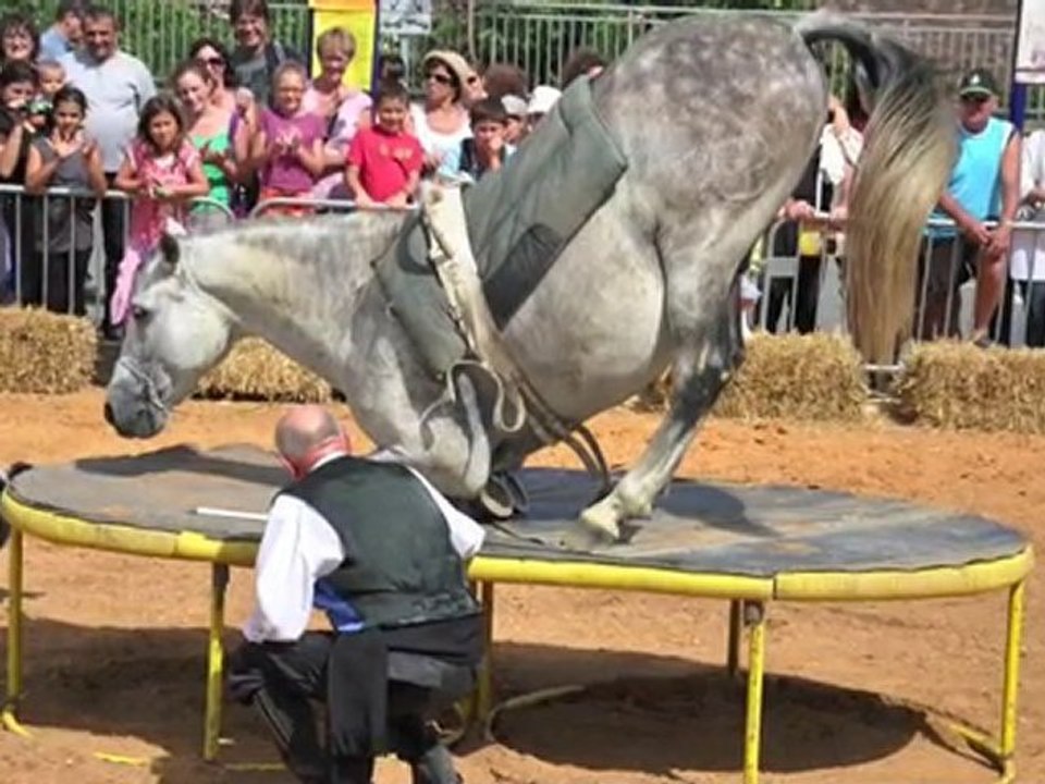 Sol de Andalucia - Samedi 24 Juillet 2010