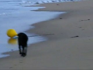 éole ballade matinale le 24 08 2010