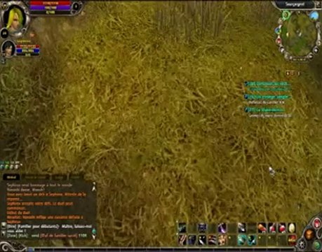 Petits délires entre amis Runes Of Magic