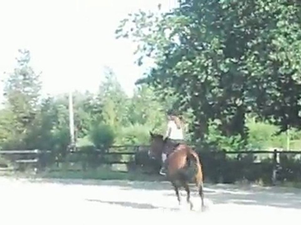 Chat, cheval, cousine 161