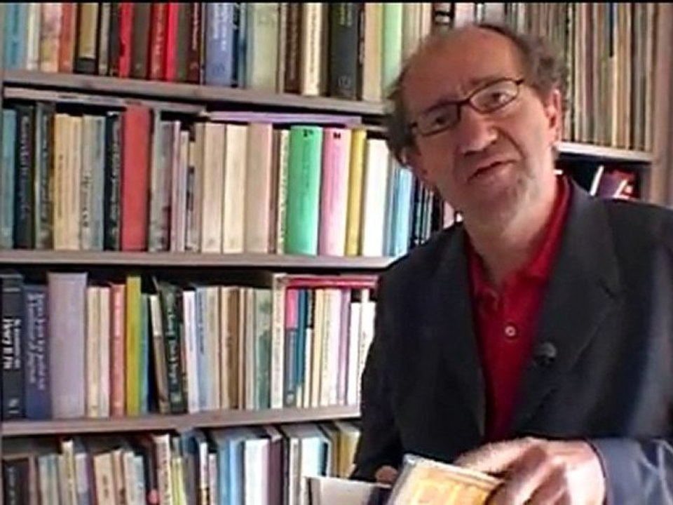 Theo Witte over literaire ontwikkeling