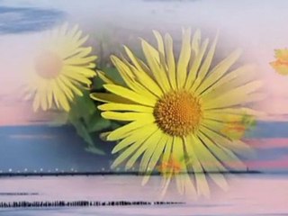 ŻEGNAJ LATO ŻEGNAJ MORZE