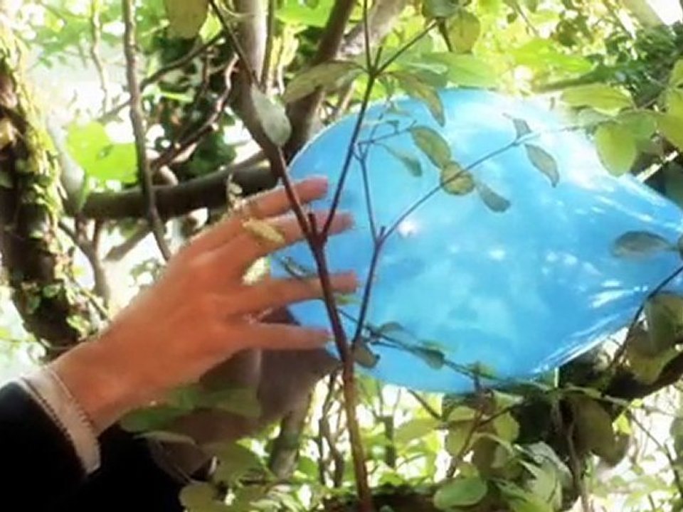 HANSEAT IMMOBILIEN DELMENHORST