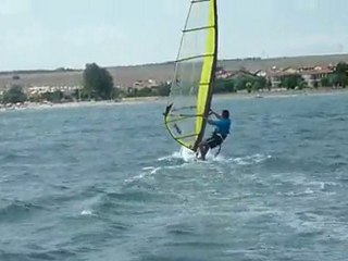 SURFING SUNFLOWER PART 2