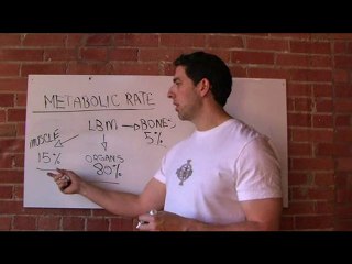 Adonis Effect - Your Metabolic Rate