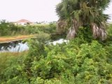 Freshwater Canal Lot in Cape Coral