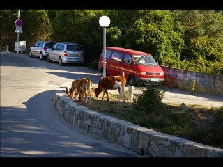 Vacances en Corse........