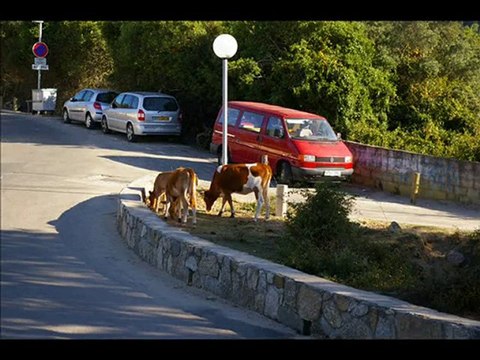Vacances en Corse........